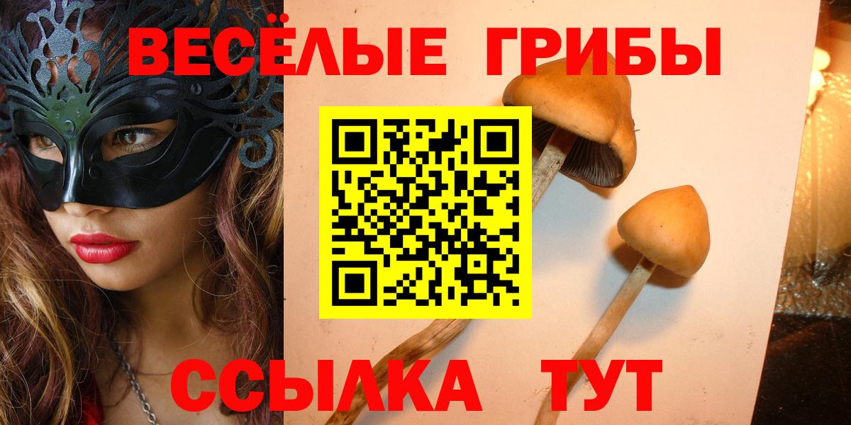 Псилоцибиновые грибы MAGIC MUSHROOMS Новокуйбышевск